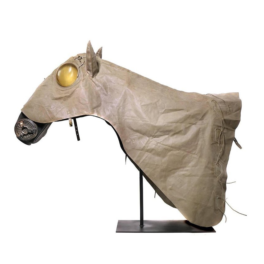 Horse Gas Shroud and Mask